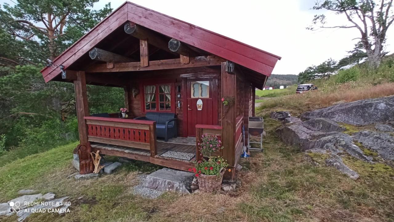 Suigard Smia Villa Sauland Eksteriør bilde